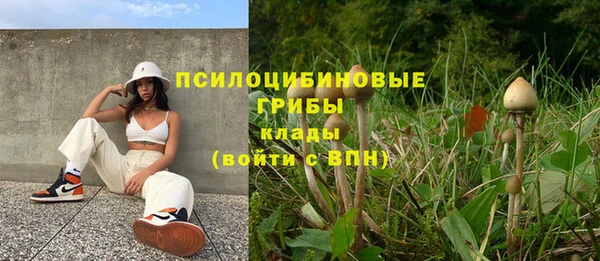 a pvp Абдулино
