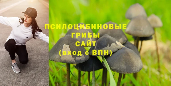 МДПВ Алзамай