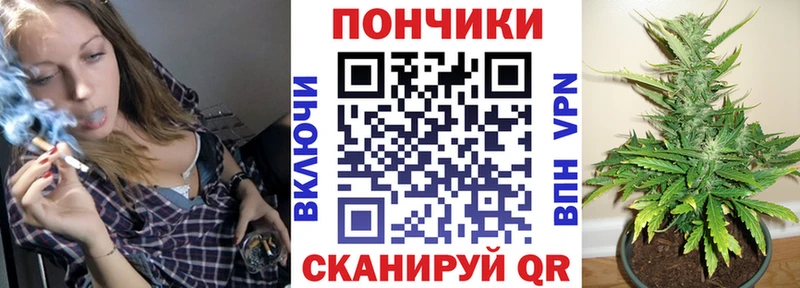 Бошки Шишки планчик  Починок 